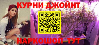 эйфоретик Кингисепп