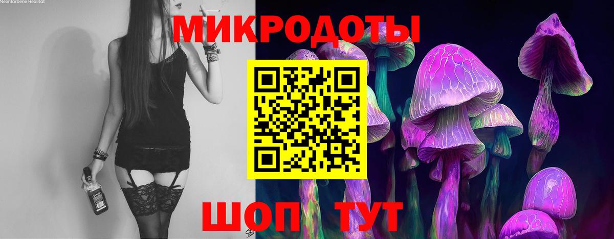 Корсаков  Галлюциногенные грибы Magic Shrooms  Вход с VPN 