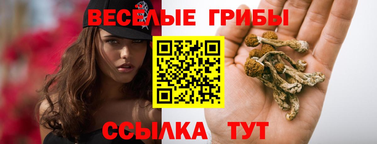 Галлюциногенные грибы GOLDEN TEACHER Корсаков